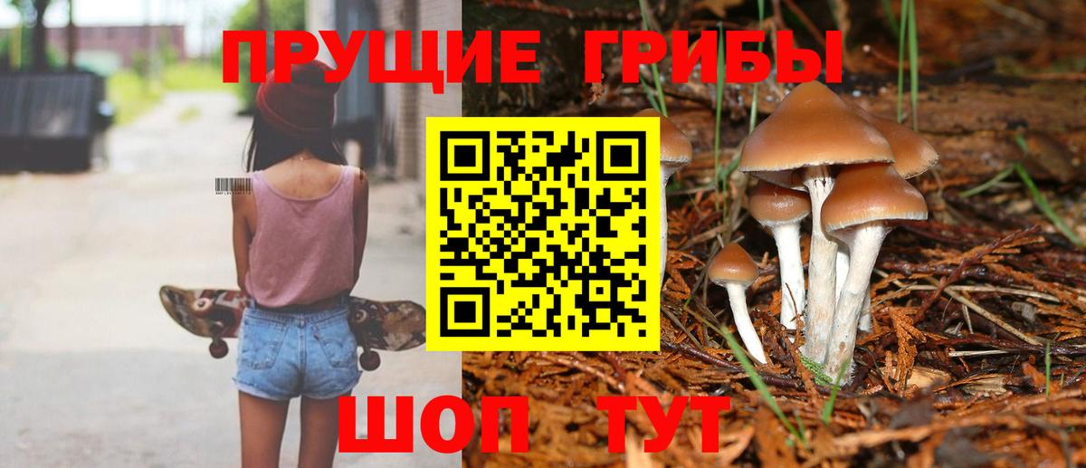 Псилоцибиновые грибы Magic Shrooms Белово